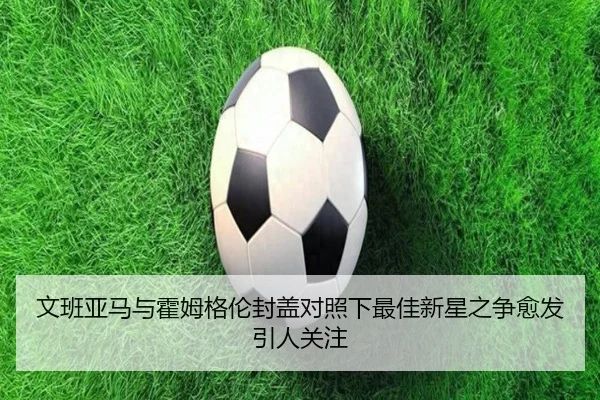 文班亚马与霍姆格伦封盖对照下最佳新星之争愈发引人关注